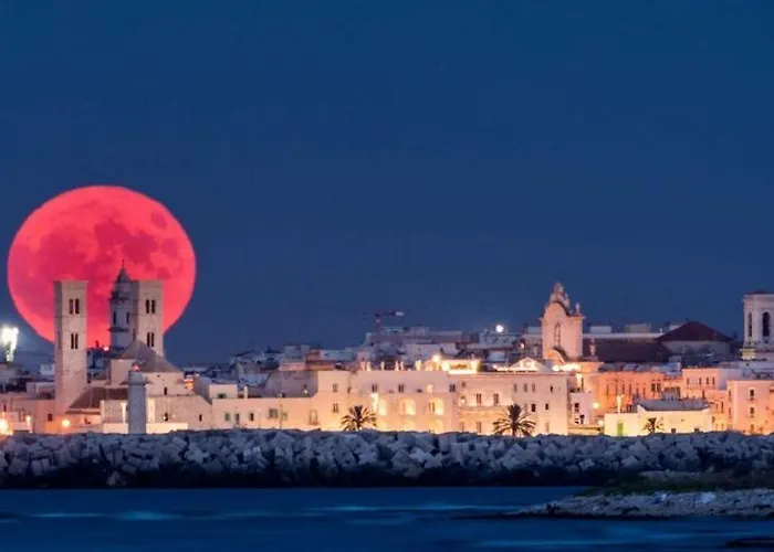 Apartment Vistapiazza62